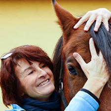 Hand auf Pferdekopf aufgelegt